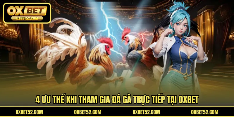 4 ưu thế khi tham gia đá gà trực tiếp tại OXBET