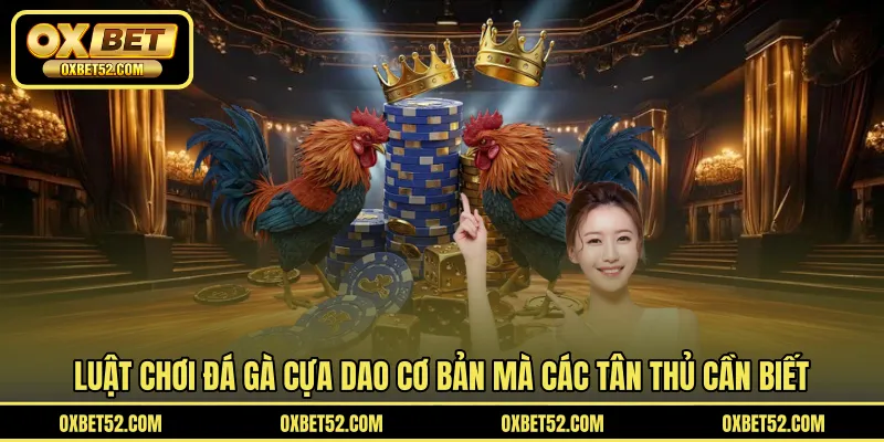 Luật chơi đá gà cựa dao cơ bản mà các tân thủ cần biết