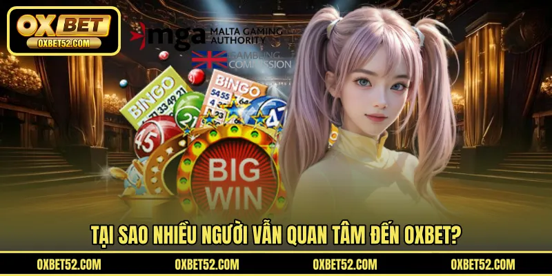 Tại sao nhiều người vẫn quan tâm đến OXBET?