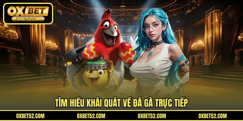 Tìm hiểu khái quát về đá gà trực tiếp